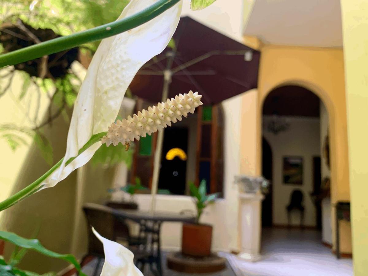 Casa Grande Lägenhet Medellín Exteriör bild